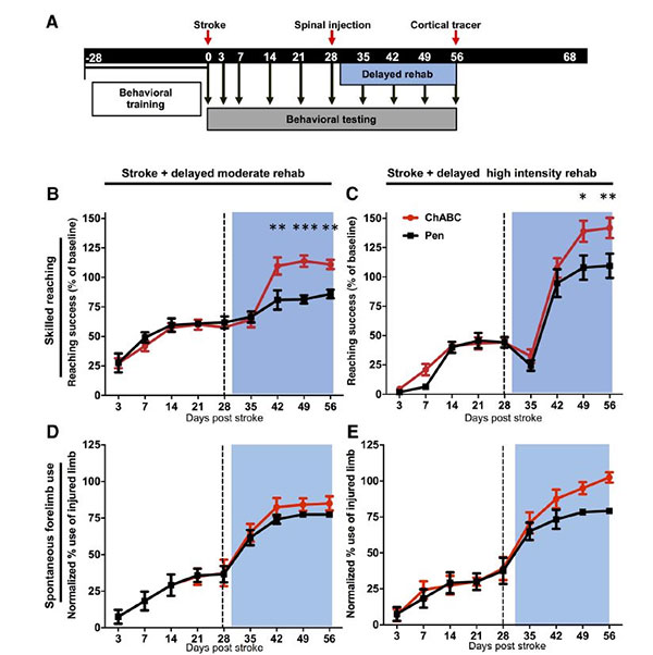 图片3.jpg 图片3.jpg